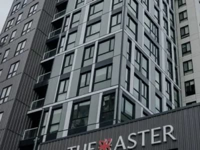 TheAsterProperty347-Resized