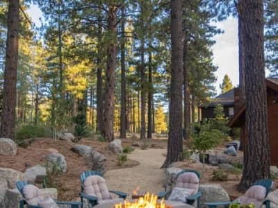 A cozy backyard fire pit surrounded by teal Adirondack chairs with cushions, set in a scenic forest environment. Tall pine trees and natural landscaping create a serene outdoor retreat.