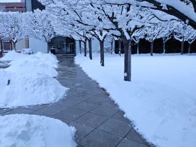 Snow Removal by Scenic View Landscape