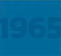 blue 1965 icon