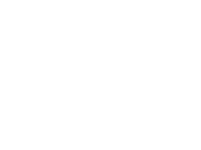 Lopez Plumbing Systems White Logo