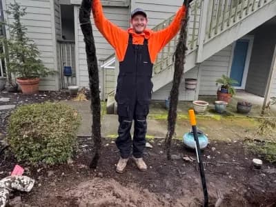 We just pulled 12 feet of roots out of this sewer pipe.