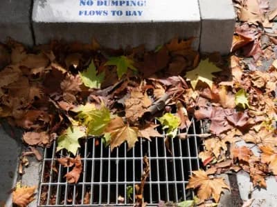 Stormwater inspection and drainage assessment in Eugene Oregon