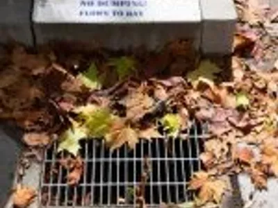 Stormwater inspection and drainage assessment in Eugene Oregon